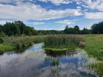 Prywatna wycieczka z przewodnikiem po Bolimowskim Parku Krajobrazowym z finału WOŚP 2025, 